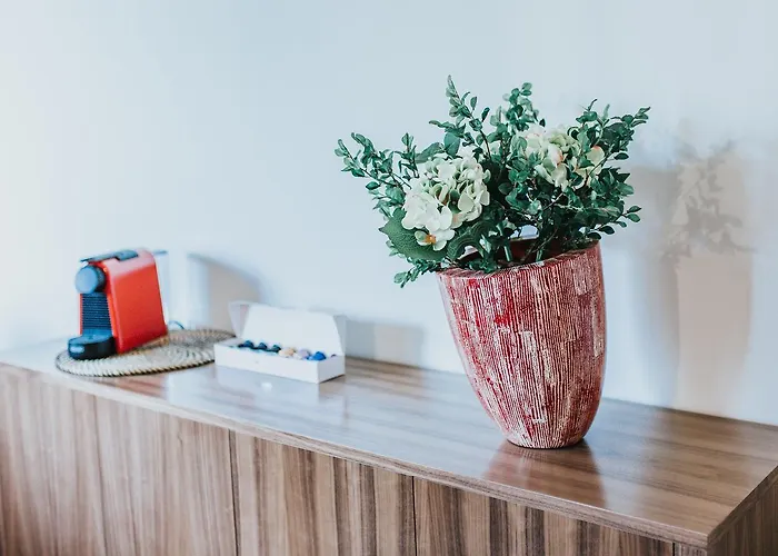 Magnolia 公寓 吉尔斯