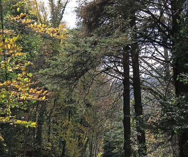 Magnolia 公寓 吉尔斯