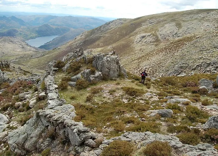 Magnolia * 吉尔斯