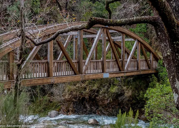 Magnolia 公寓 吉尔斯