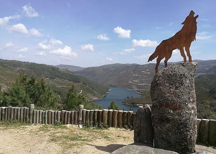 Magnolia * 吉尔斯